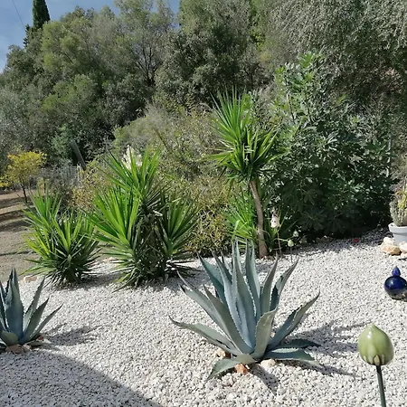 M&m Met Eigen Zwembad