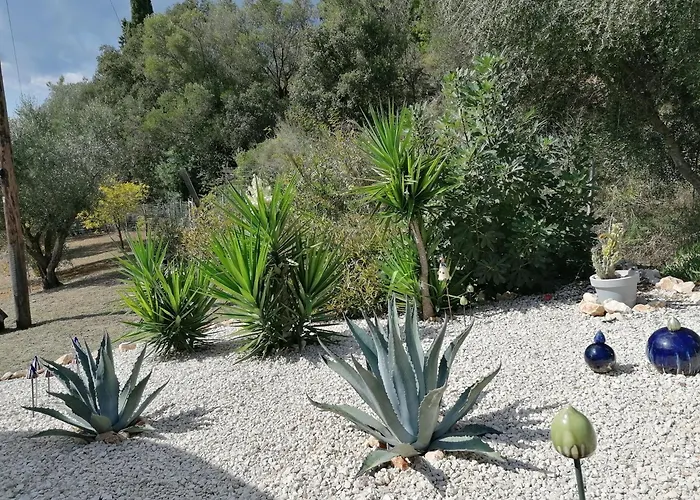 M&m Met Eigen Zwembad